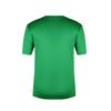 FIFA Nordirland T-Shirt für Kinder