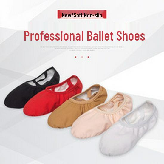 Women's Soft Sole Ballet & Dance Shoes - Gold/Silver, Cat Paw Design