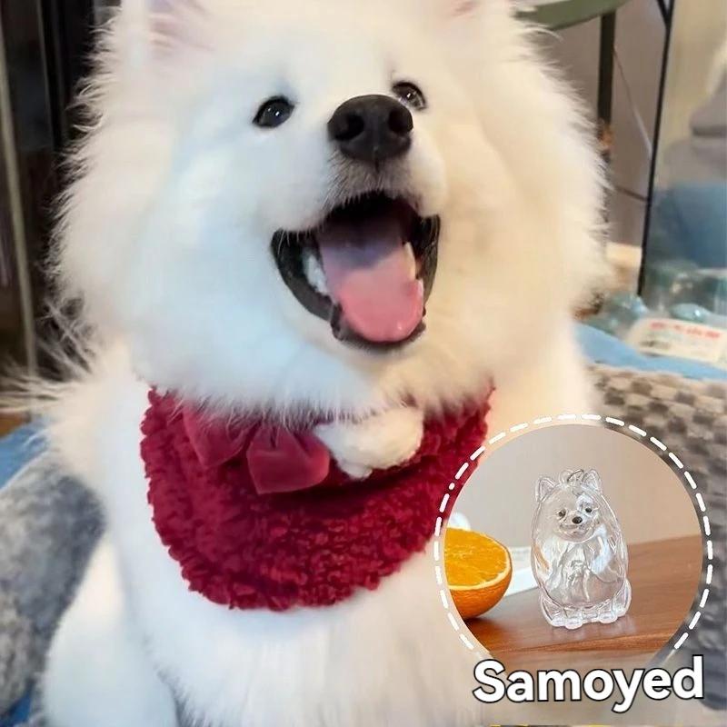 

Large Dogs Fur Storage Pendant Creative And Stylish Keychain Portable Souvenirs Ornaments Men s And Women s Birthday Gifts