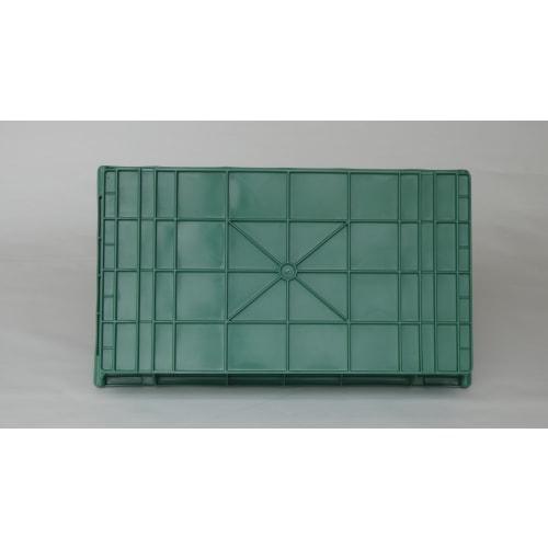 Squirrel Plastic Boat 25