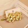 European American Trendy Cross-Border Punk Cold Wind Stainless Steel Earrings Geometric Irregular Drop Fashion Jewelry