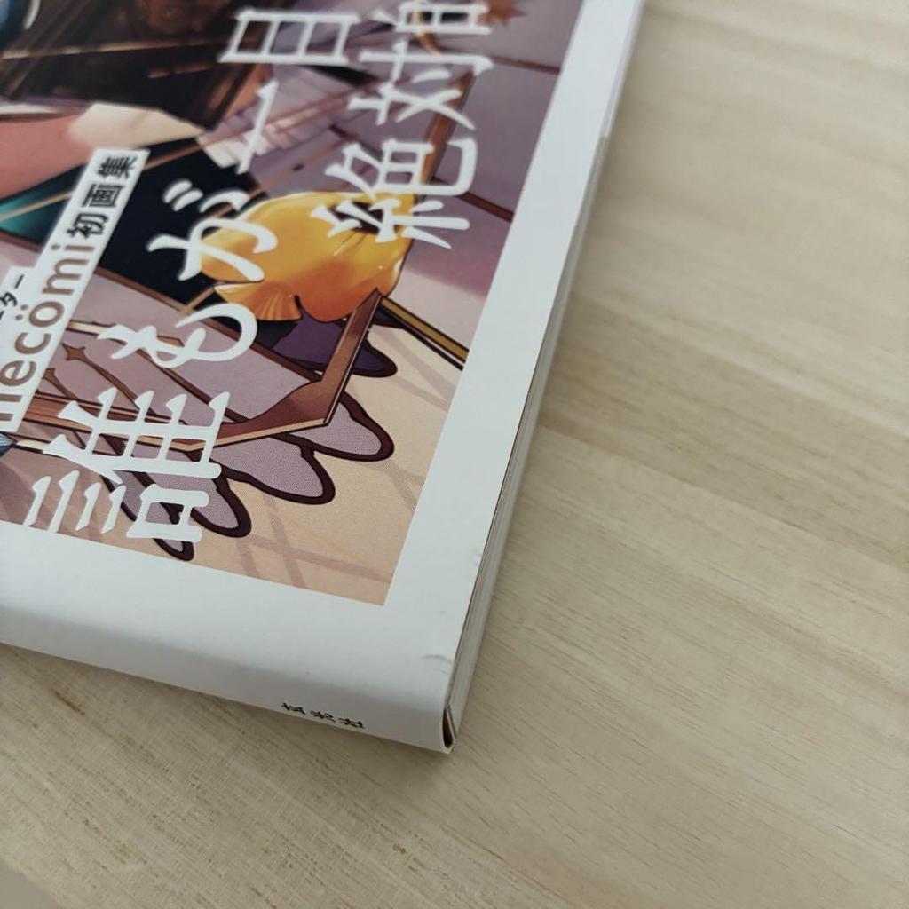 [USED] Necomi Art Book PHONOGRAPHIC Signed
