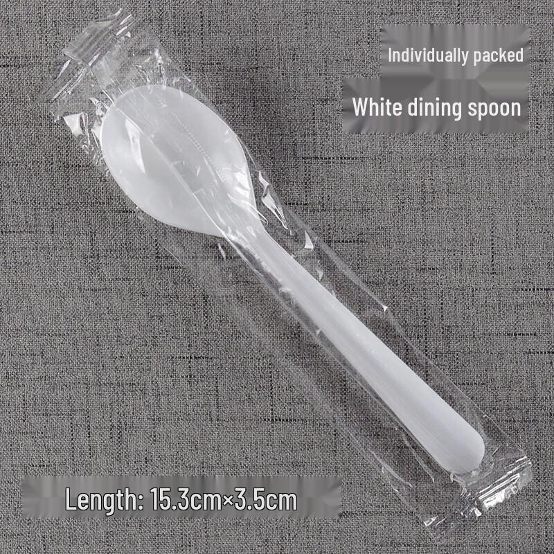 CHULV Disposable Plastic Spoons