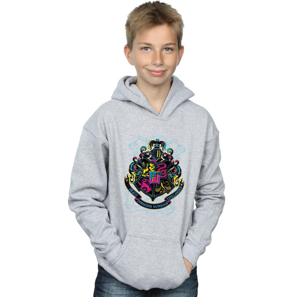 Harry Potter Boys Neon Hogwarts Crest Hoodie