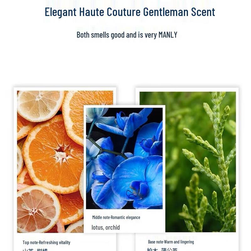 Adolph Tea Tree Oil Men's Shampoo