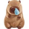 Capybara Sleepy Plush Hug Pillow - Birthday Gift for Girlfriend