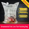 Oxygenated Transport Bags for Live Fish - Aquarium Safe, Thickened Design