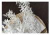 Rich Noble Leaf Dried Panda Bamboo Flowers - Photography Props for Weddings, Living Room, or Hotel Decorations
