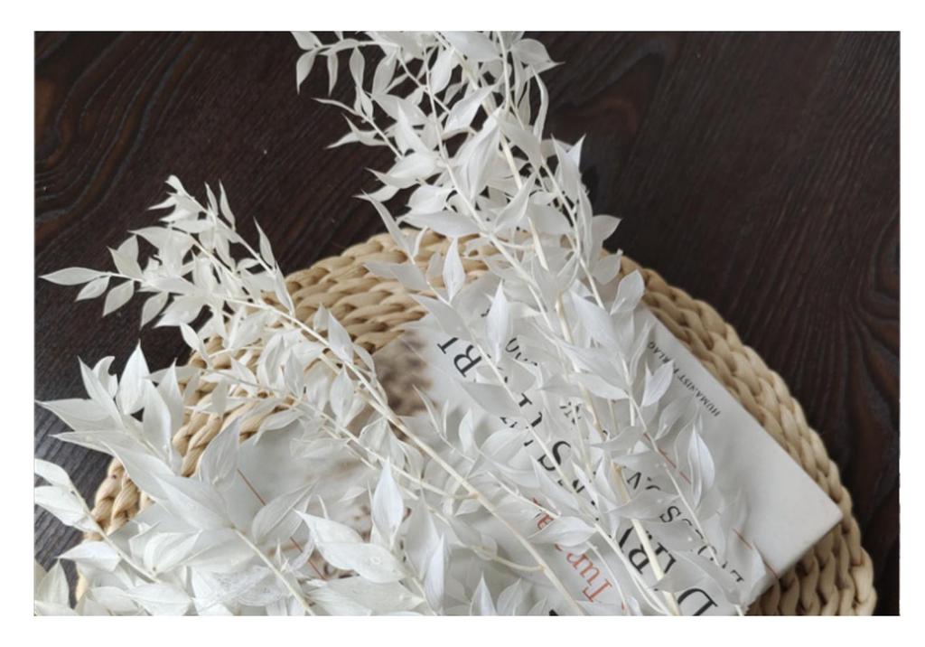 Rich Noble Leaf Dried Panda Bamboo Flowers - Photography Props for Weddings, Living Room, or Hotel Decorations