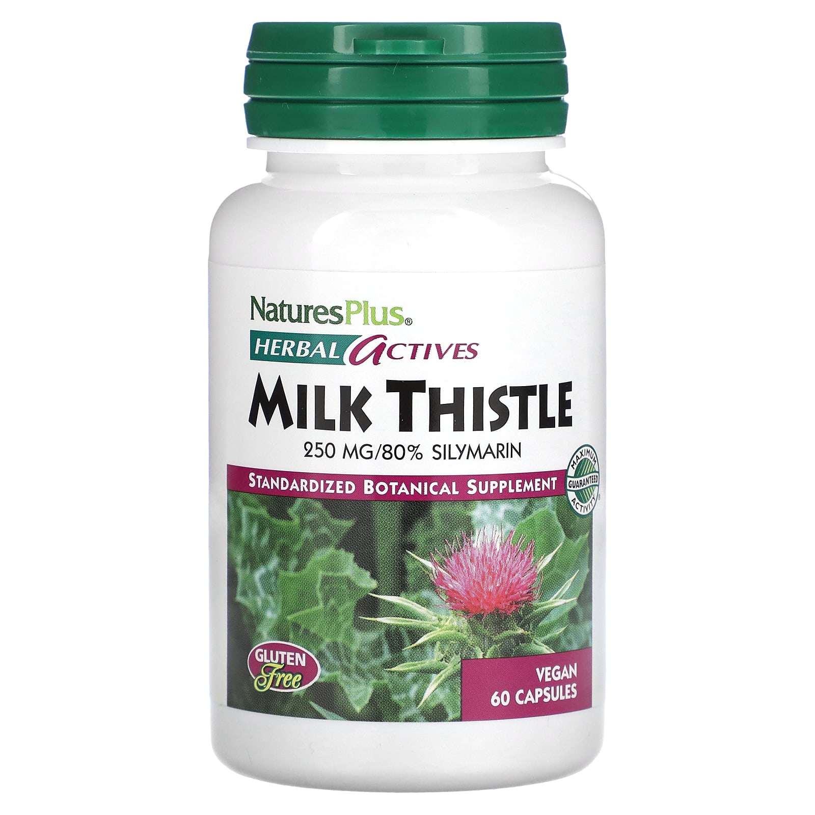 

Herbal Actives, Milk Thistle, 250 Mg, 60 Veggie Caps