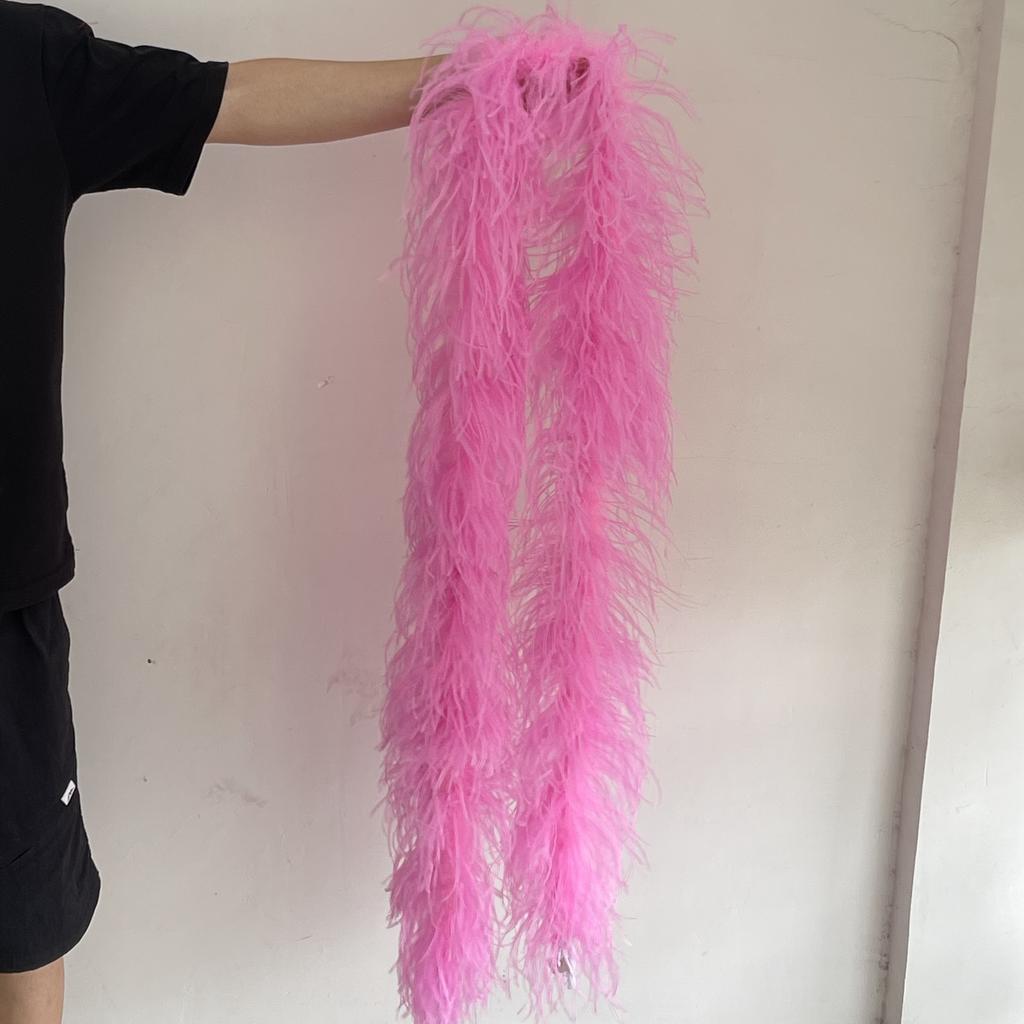 2M Red Ostrich Feathers Boa 1-10Ply Thick Natural Feather Shawl for Wedding Clothing Decoration Sewing Plumes Crafts Accessory
