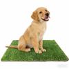 Pet Urine Pad Dog Special Absorbent Pad Anti-Odor Deodorizing Thickened Indoor Training Toilet Pad Large Size