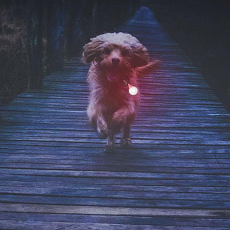 ultrasonic flea collar