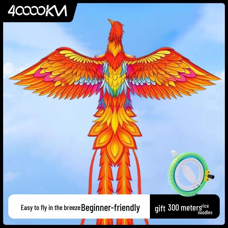 Easy-Fly Weifang Kite Set