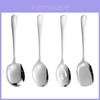 Stainless Steel Serving Spoon With Long Handle For Restaurant And Home Use
