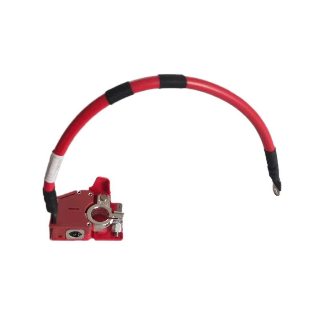 Positives Batteriekabel für BMW 3er G20/G28 (Teil 61128796959)