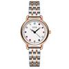 Niche Women'S High-Value Steel Belt Watch, Small And Light Luxury Birthstone Women'S Watch, Waterproof Fashion Quartz Watch