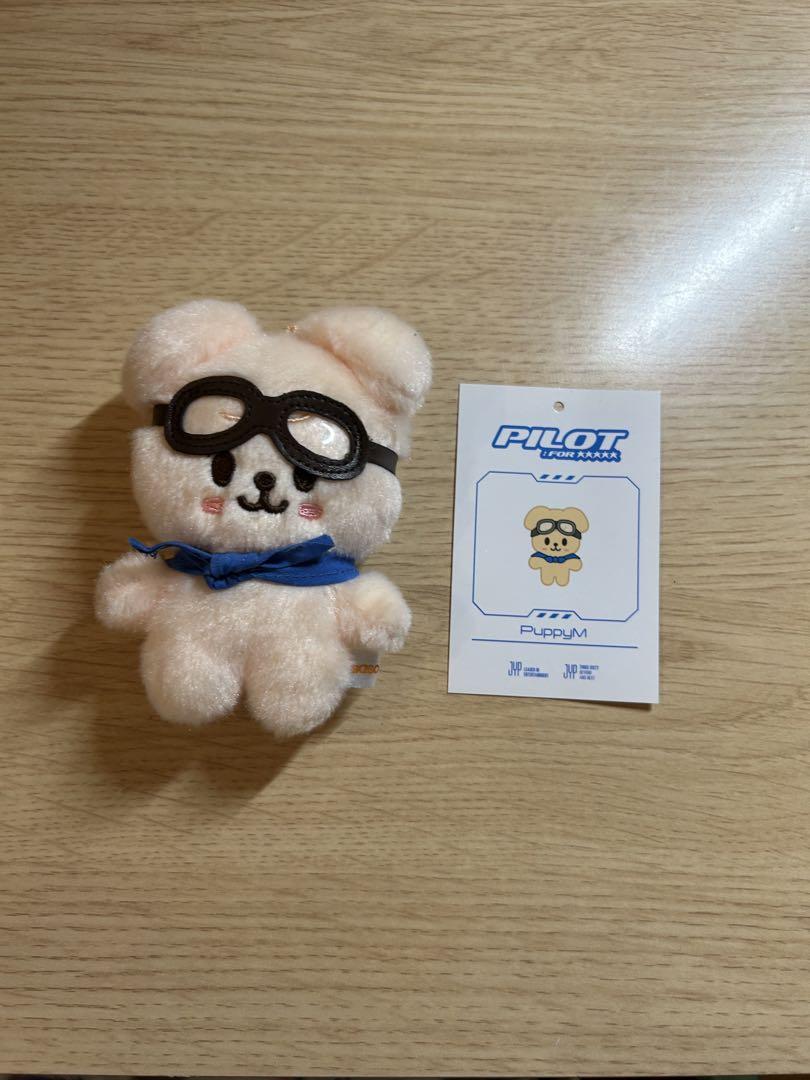 

[Б/У] StrayKids Сынмин ЩенокM Плюшевая игрушка пилот