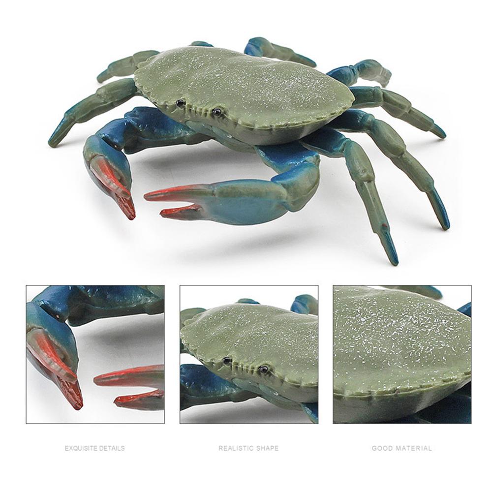 8Pcs Realistic Sea Animal Figures Simulation Static Crab Figurine Cognitive Educational Model