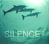 CD VARIOUS - Silence? SK47700 Sony Classical 1996 France Classical Used