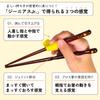 FlaColle Genius Training Chopsticks Designed for Corrective Chopsticks the Correct Way To Training Practice Discipline Discipline Chopstick Use Years