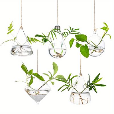 5 Stück Luftpflanzen Hydroponische Wandvase, Glas Bündel Moderne Vermehrungsstation, hängender Glas Pflanzgefäß, Blume, drinnen, Fenster, Heimdeko