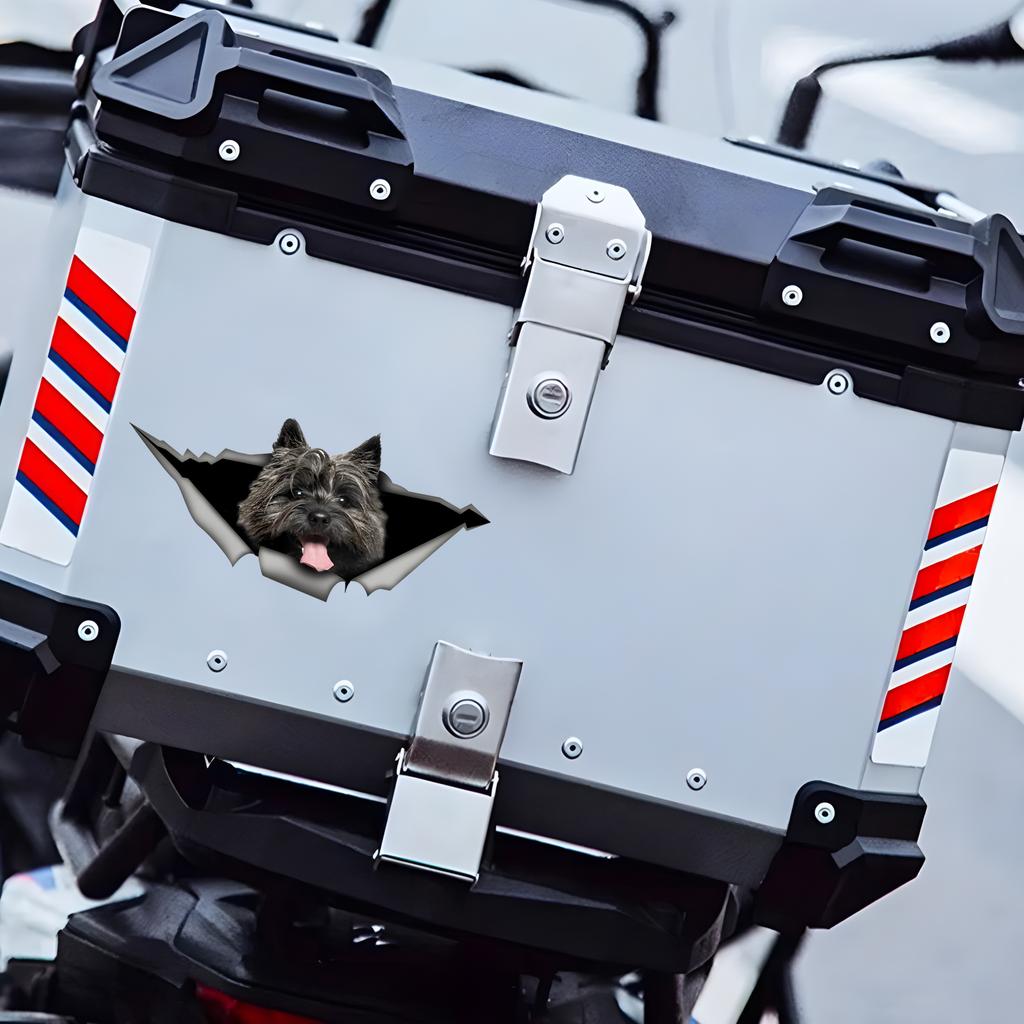 Car Stickers for Crow Hidden In Holes, Waterproof Irregularly Shaped Car Decoration Decals