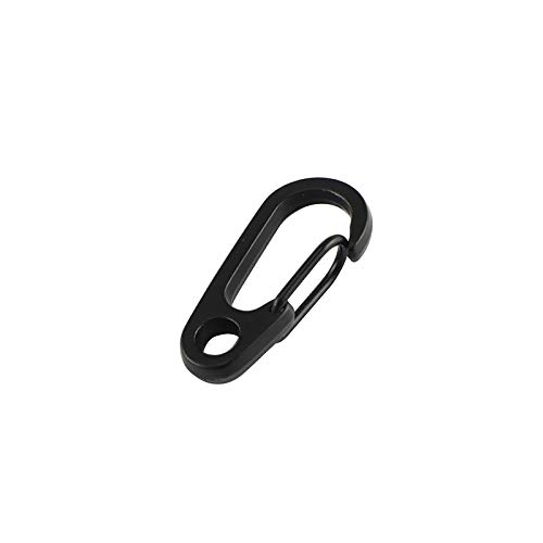 TEMLUM Carabiner, Small Mini Carabiner, Set of 10, Snap Hook,
