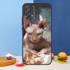 Sphinx Cat Case For Samsung Galaxy A35 A55 A32 A12 A22 A52 A06 A54 A34 A14 A56 A36 A26 A16 A13 A53 A15