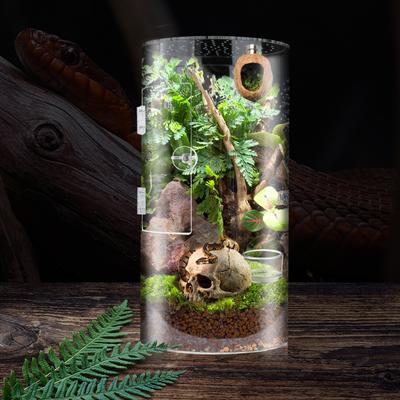 Gehege für SpringspinnenZylindrische TierboxFutterbox für Reptilien mit VordertürGrenzüberschreitende Spezial-Futterboxen für Haustiere