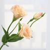 Artificial Platycodon Grandiflorus Flower with 2 Head Blooms And 1 Bud Fake Silk Flower with Stem And Leaves for Wedding Party Kitchen Bedroom Baby