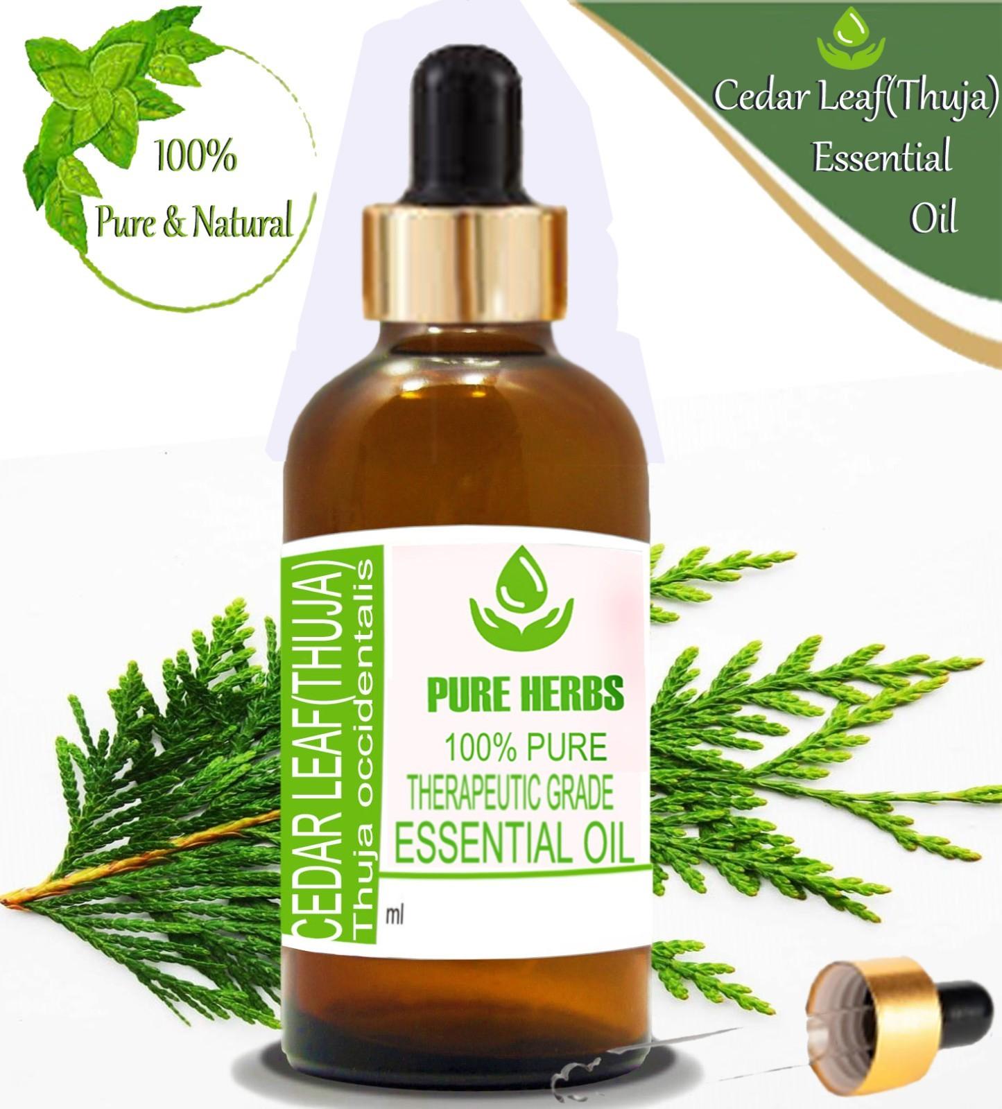 

Pure Herbs Cedar Leaf 100% Pure & Natural Thuja Occidentalis Essential Oil ZA 274 5ml