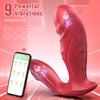 Wearable Vibrator Remote Control Dildo Vibrators for Women G-spot Clitoris Invisible Butterfly Panties Vibrating Egg Sex Toys 18