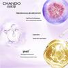 CHANDO Time-Reversing Anti-Wrinkle Skincare Set
