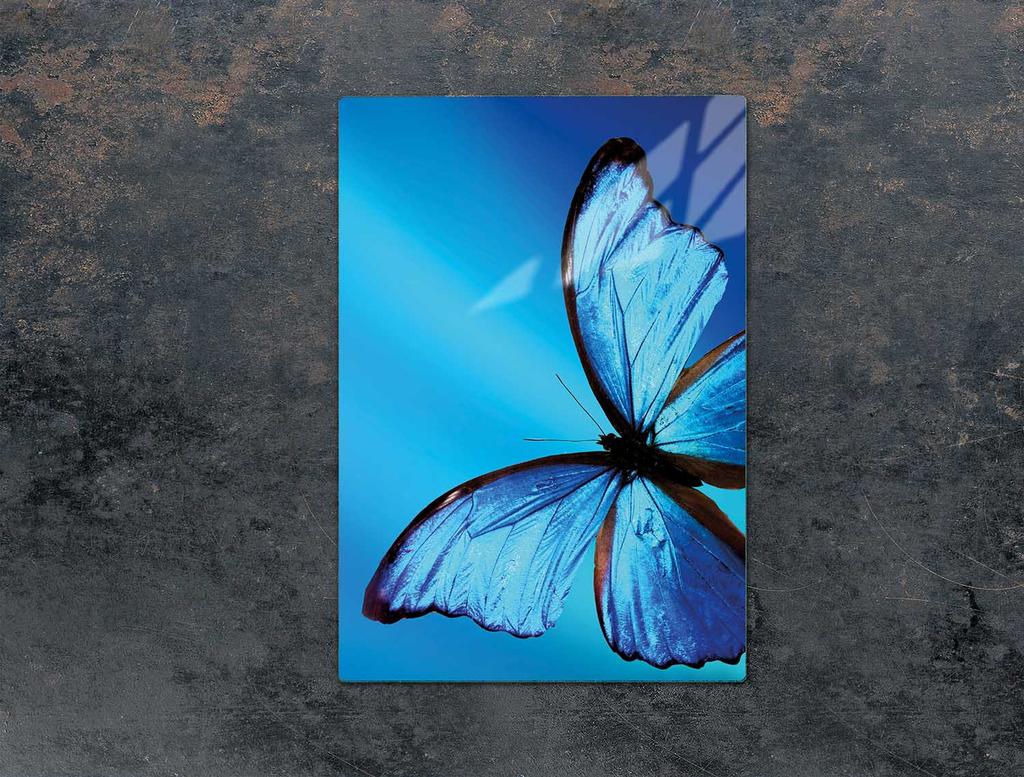 SZKLANA DESKA DO KROJENIA 35x52 MOTYL