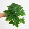 Artificial Amphibian Plants Terrarium Leaves Habitat Decor for Iguana for Turtle