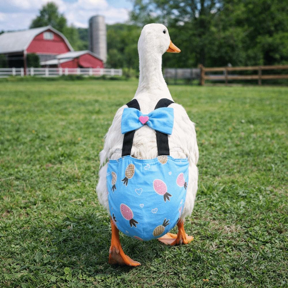 Adjustable Duck Diapers Bowknot Design Poultry Costume Fruits Pattern Poultry Nappy  Poultry Care