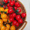 Mini Grappe de Tomates en Plastique Accessoires Alimentaires Artificiels Pour Photographie Styling Jouet Cuisine pour Enfants