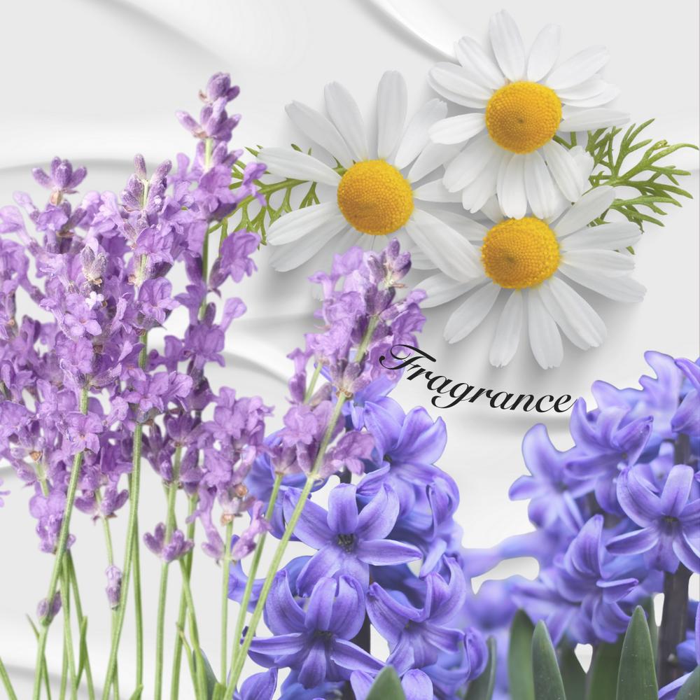 REBROWN TanAlliexer Bronzer In/Out Tanning Lotion Instant, Fast Color Formation, Highly concentrATEd DHA Content 60xxx 200ml