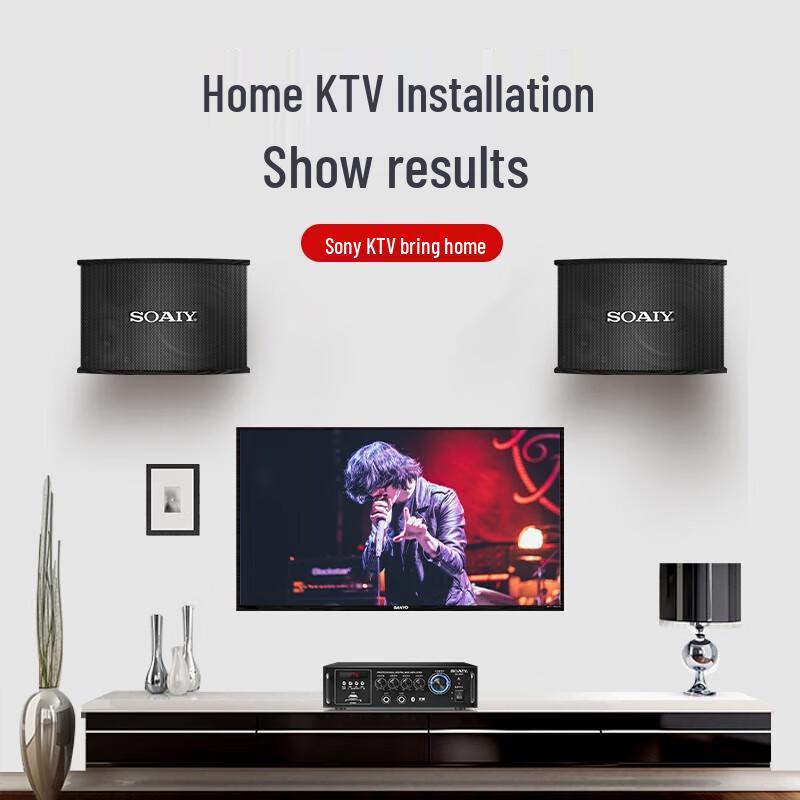 Soaiy CK-M6 Home Theater KTV Audio System CN plug (adapter included)