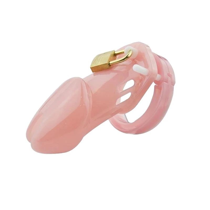 2026 New Model Chastity Cage: Sissy Chastity Lock—A Valentine's Day Gift for Adult Couples and Partners