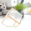 Gold Geometrische Form Sukkulenten Pflanze Blumentopf Glas Pflanzgefäß Landschaft Heim Tischdekoration