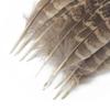 10Pcsdiy Craft Feather Pheasant Hair Mother Chicken Nest Feather Jewelry Accessories Performance Accessories Headgear Hair Accessories Hair