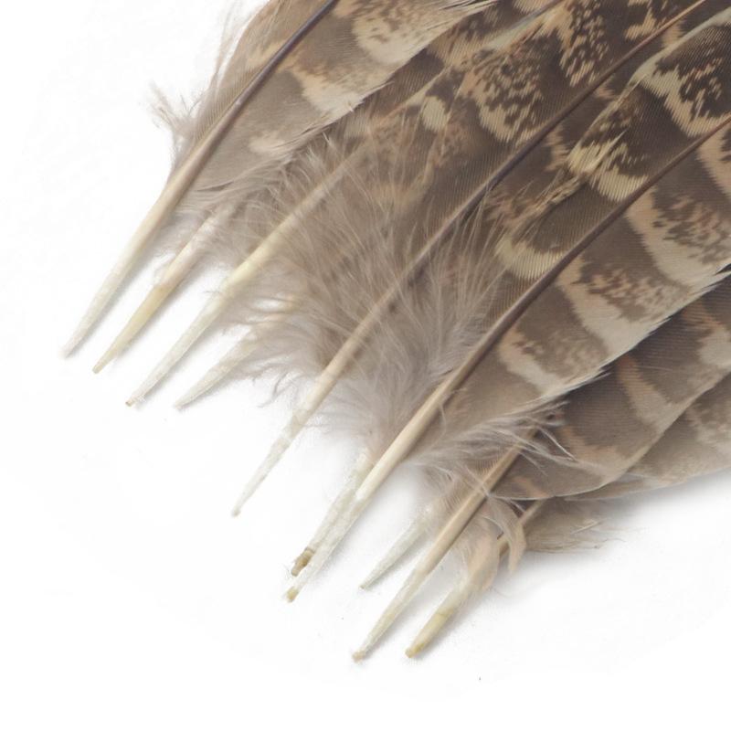 10Pcsdiy Craft Feather Pheasant Hair Mother Chicken Nest Feather Jewelry Accessories Performance Accessories Headgear Hair Accessories Hair