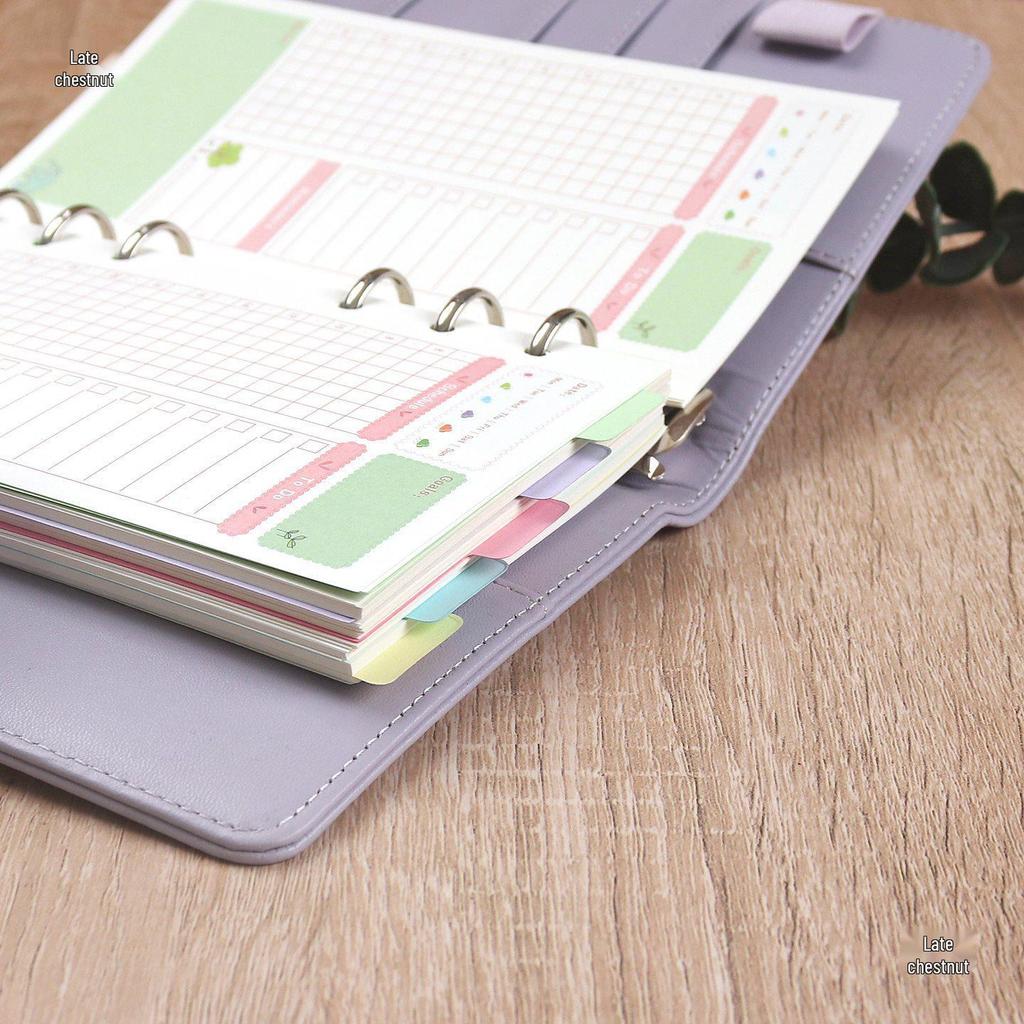 A5/A6 Standard 6-Loch Bunte Einleger für Reisehefte