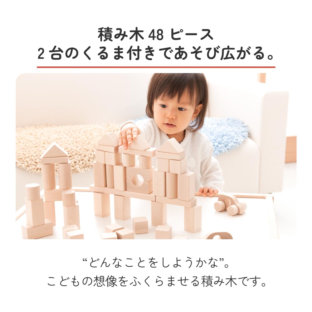 Sakai Made In Domestic Gujo Wooden Blocks with 48 Target 18 1 and a Half 2 3 Years Building Wooden Educational Large Baby Girls Sangyo, Japan,