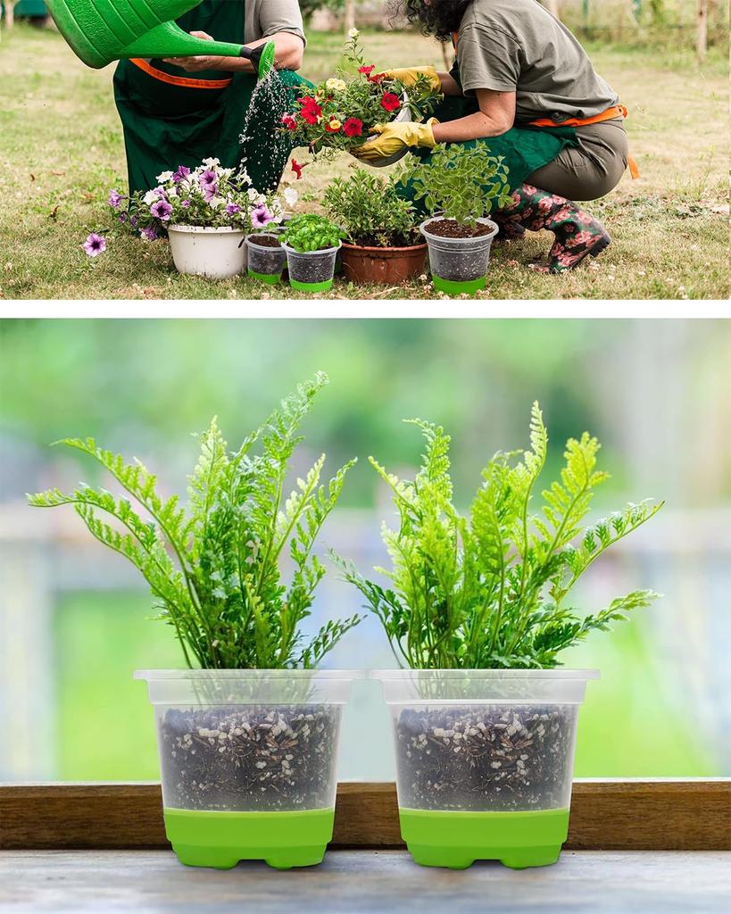 Seedling Pots, Set of 24, Seed Trays, Growing Pots, Pots with Soft Silicone Base, Easy Transplanting of New Shoots, Germination and Seedling Cultivati