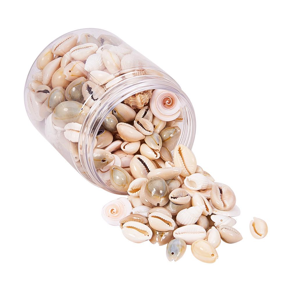 Natural Mixed Shell Conch Jewelry & Fish Tank Decorations