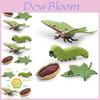 Realistic Pvc 4 Piece Luna Moth Growth Cycle Model Detailed Display Figurine Set