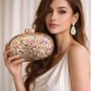 Luxury Women's Cross-Body Shell Clutch - Acrylic Evening Bag with Chain Strap